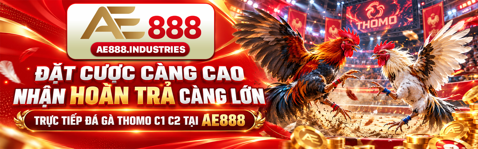 banner-ae888