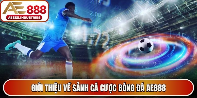Giới thiệu về sảnh cá cược bóng đá AE888